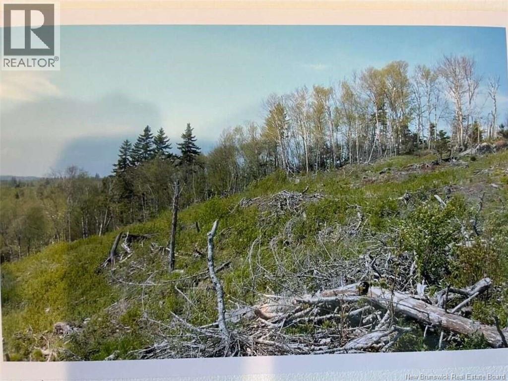 6 Roys Lane Property Photo 10