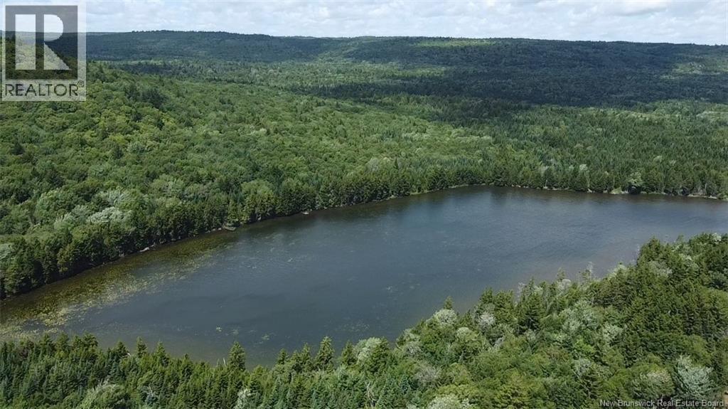 Big Salmon River Road Property Photo 2