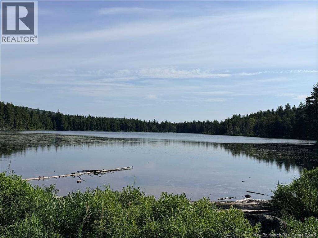 Big Salmon River Road Property Photo 3