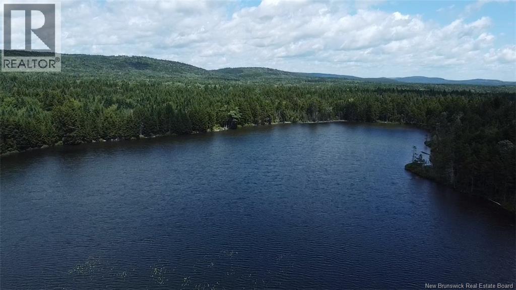 Big Salmon River Road Property Photo 5