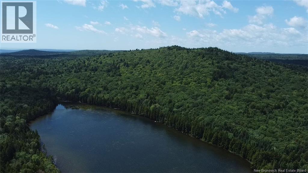 Big Salmon River Road Property Photo 6