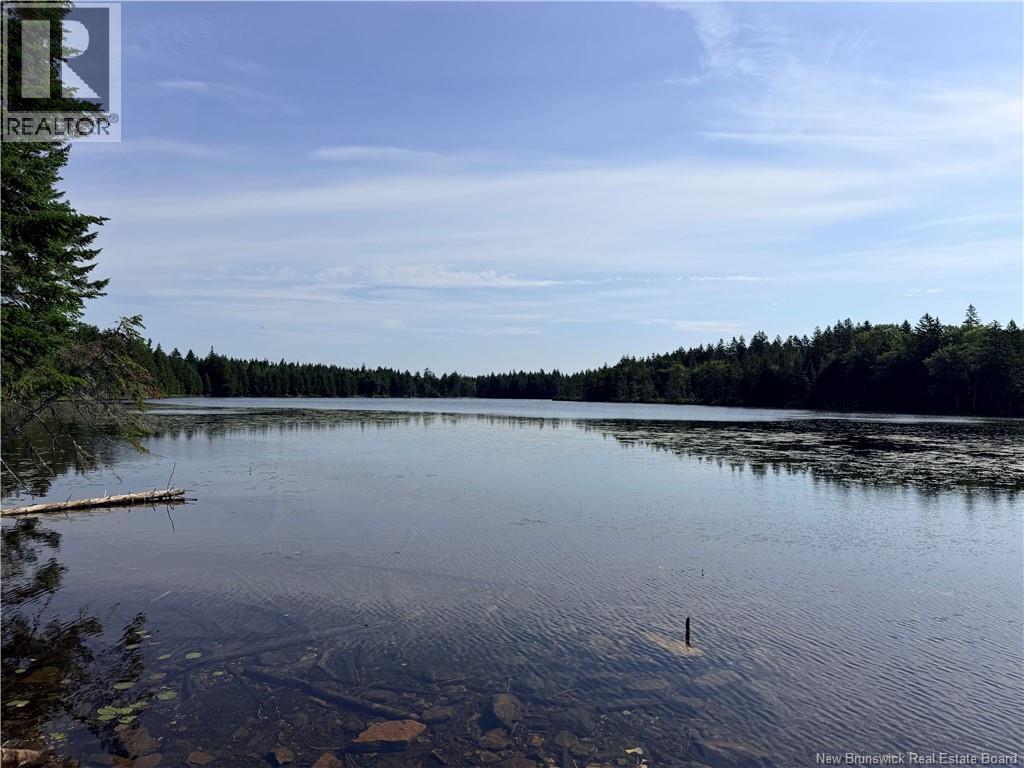 Big Salmon River Road Property Photo 7