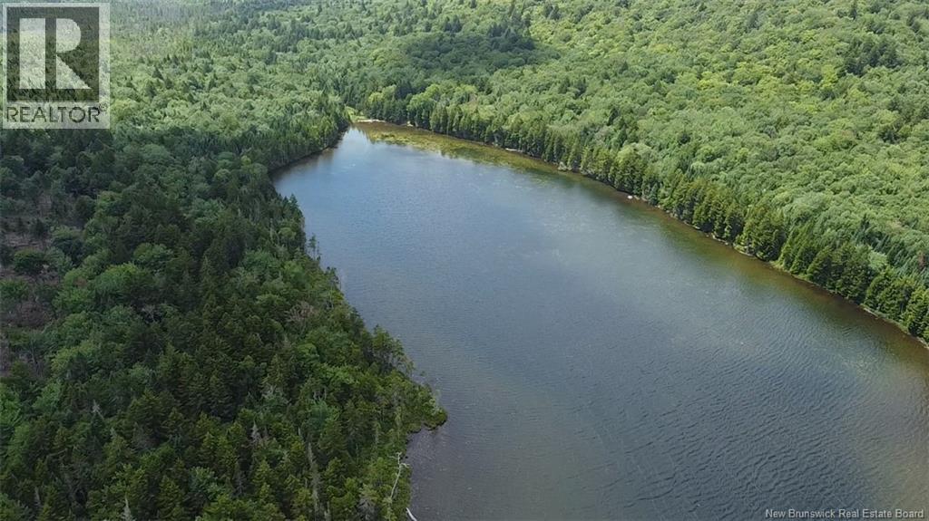 Big Salmon River Road Property Photo 8