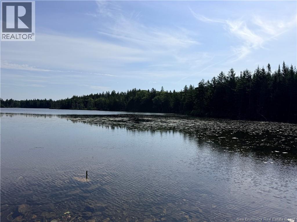 Big Salmon River Road Property Photo 9
