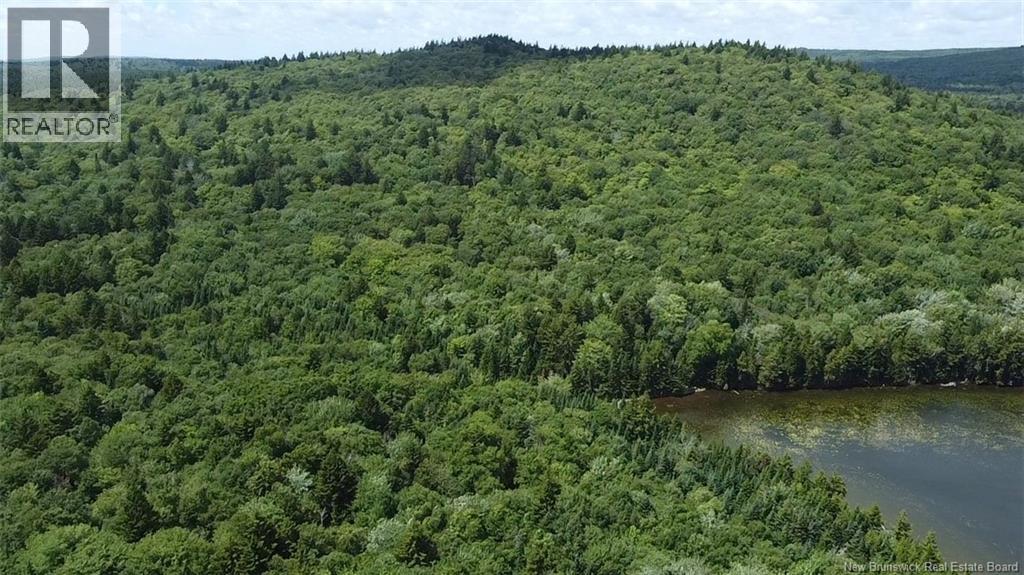 Big Salmon River Road Property Photo 10