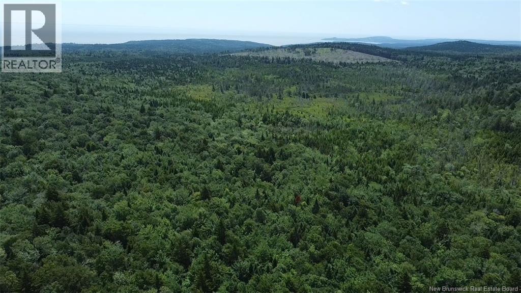 Big Salmon River Road Property Photo 12