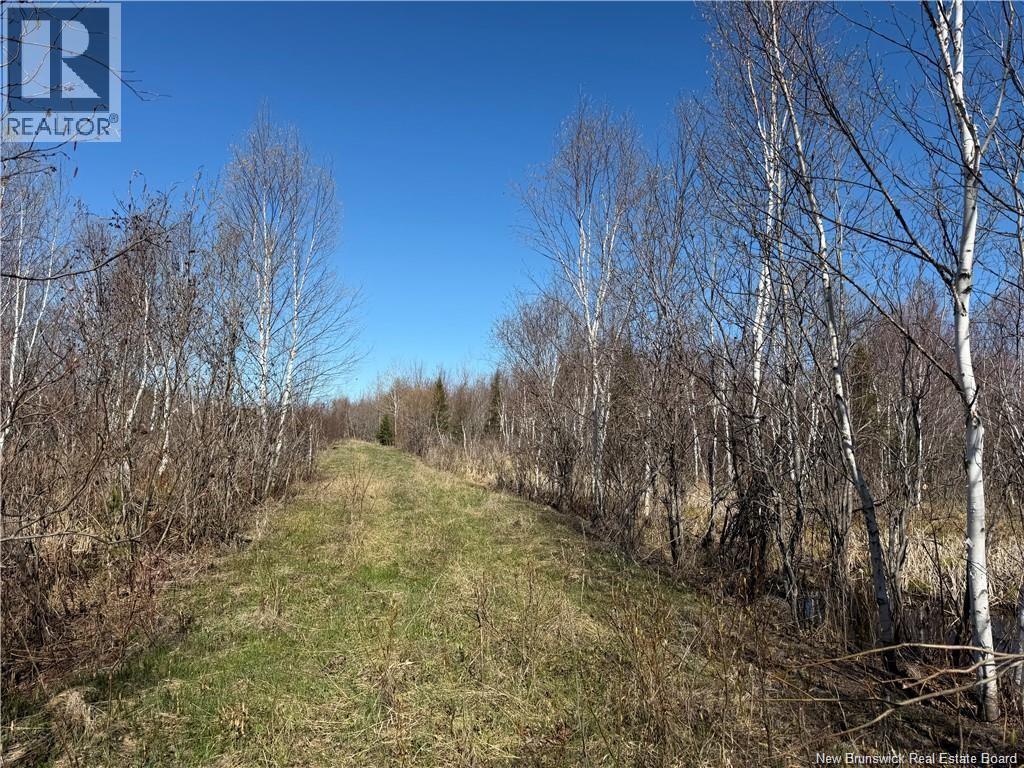 129 Acres Route 340 Property Photo 3