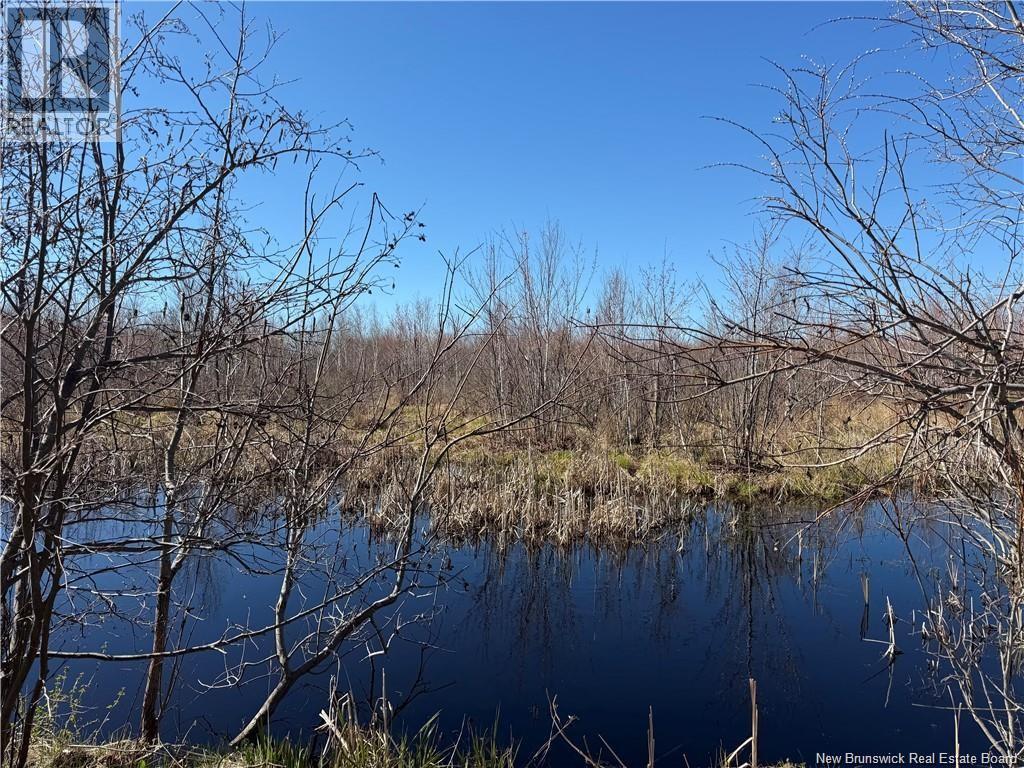 129 Acres Route 340 Property Photo 4
