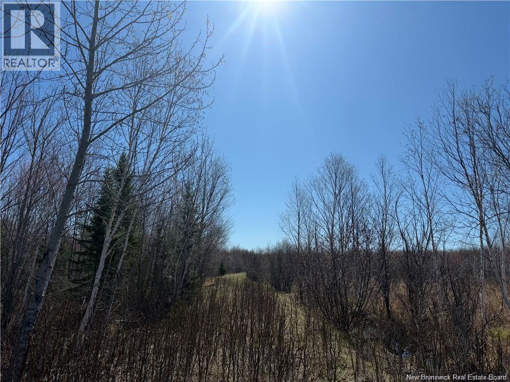 129 Acres Route 340 Property Photo 5