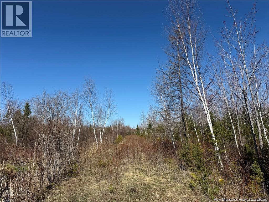 129 Acres Route 340 Property Photo 6