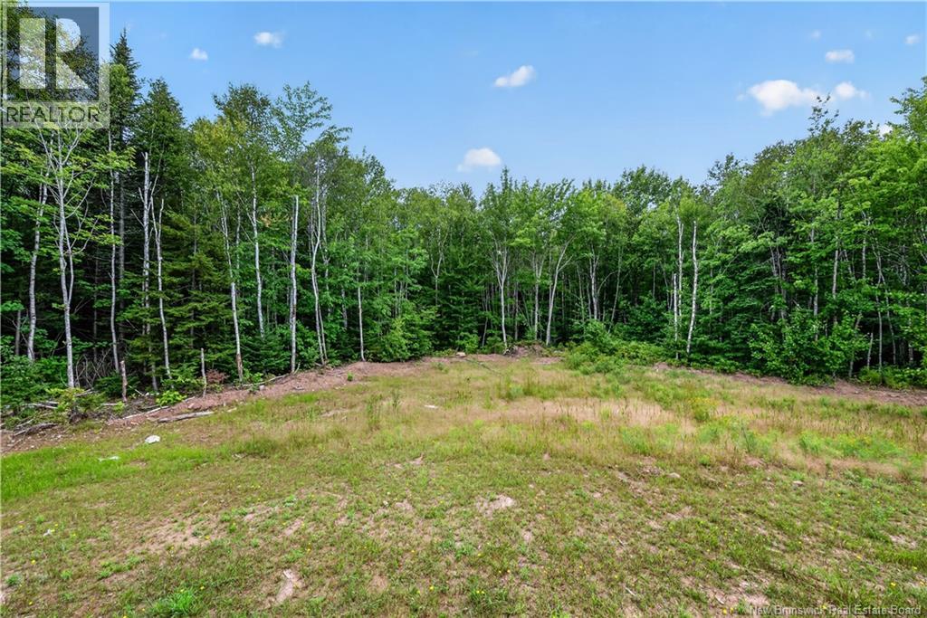 25-26 Roy Scenic Drive Property Photo 48
