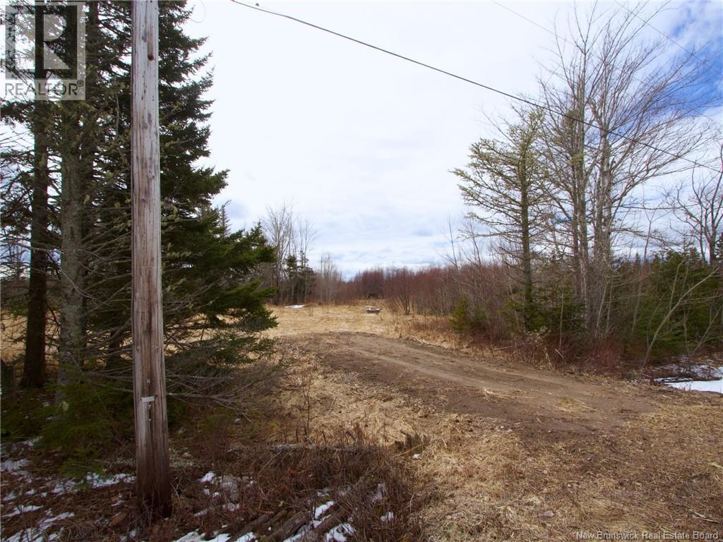 Lot Moore Road