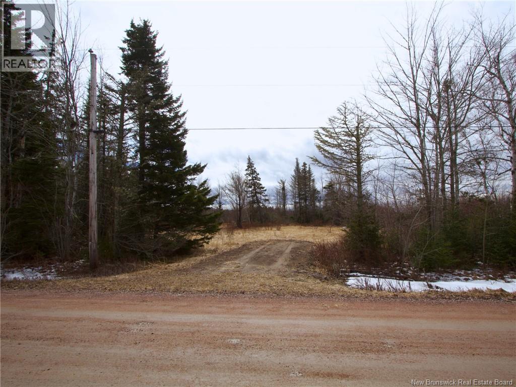 Lot Moore Road Property Photo 2