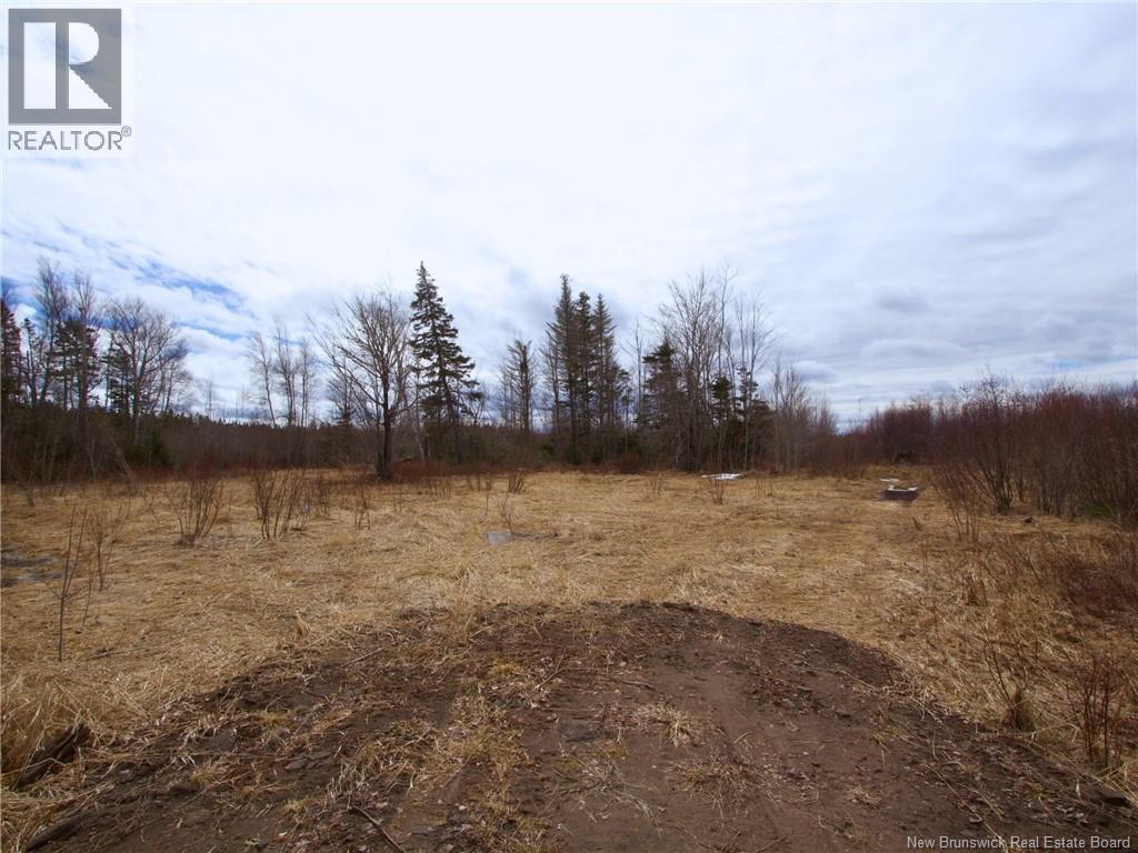 Lot Moore Road Property Photo 3