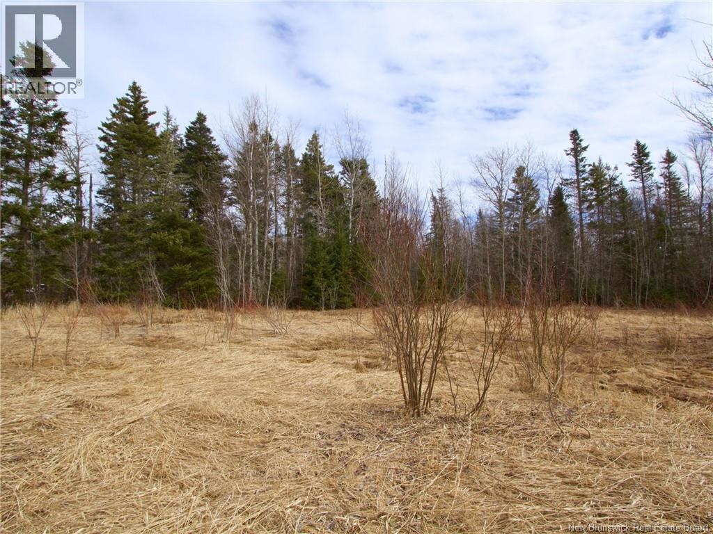 Lot Moore Road Property Photo 4