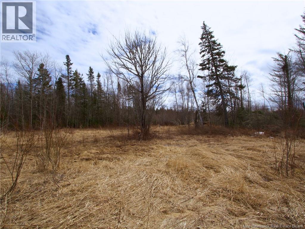 Lot Moore Road Property Photo 5