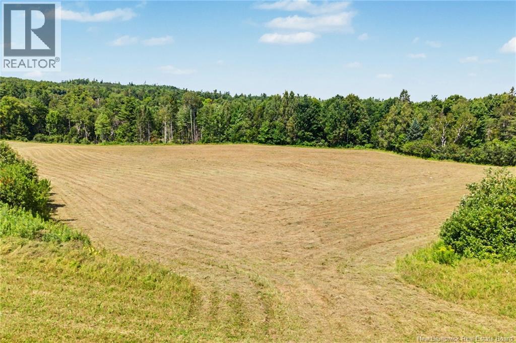 437 Mill Settlement Road Property Photo 38