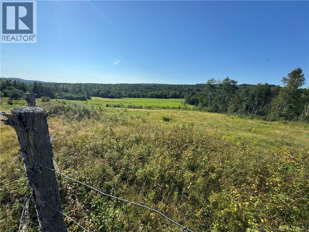 437 Mill Settlement Road Property Photo 44