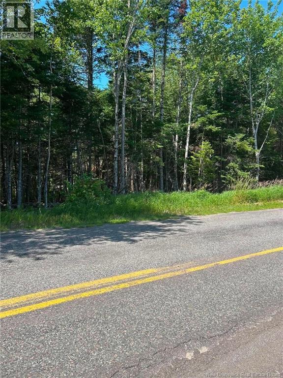 Lot 20-2 Route 825 Property Photo 2