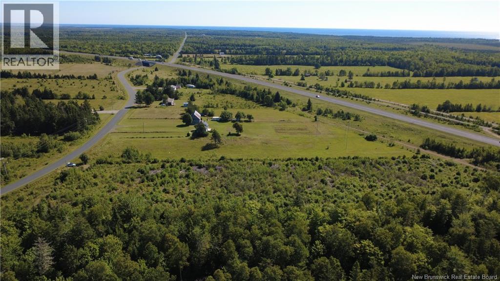3.2 Acres Chemin Grand Carey Property Photo 3