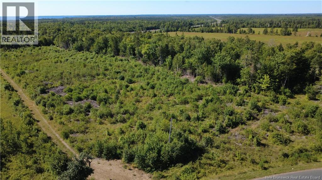 3.2 Acres Chemin Grand Carey Property Photo 4