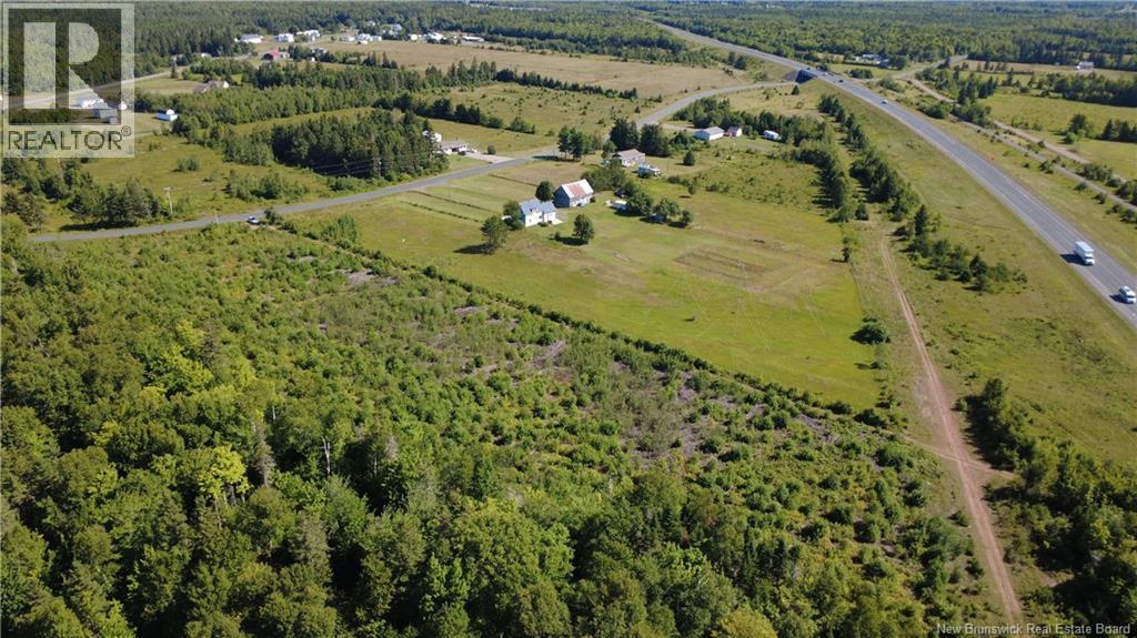 3.2 Acres Chemin Grand Carey Property Photo 5