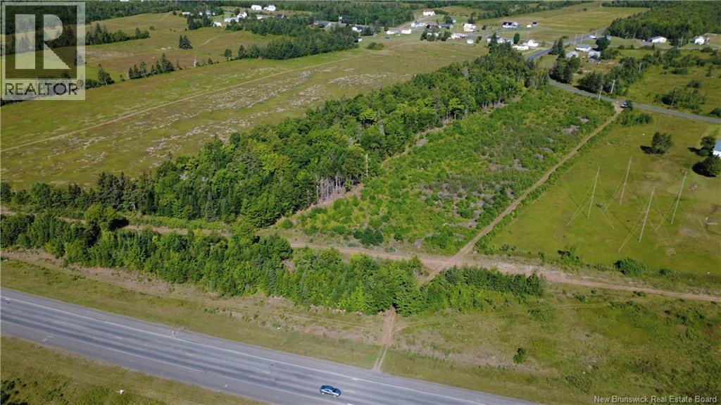 3.2 Acres Chemin Grand Carey Property Photo 6