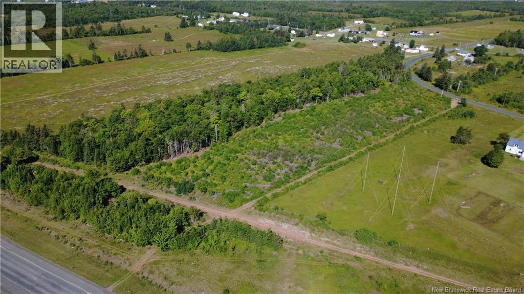 3.2 Acres Chemin Grand Carey Property Photo 7
