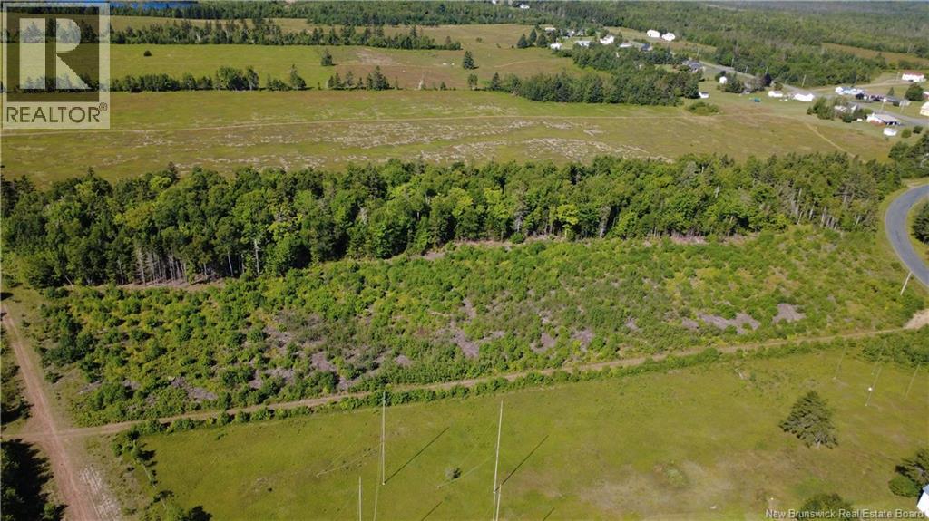 3.2 Acres Chemin Grand Carey Property Photo 8