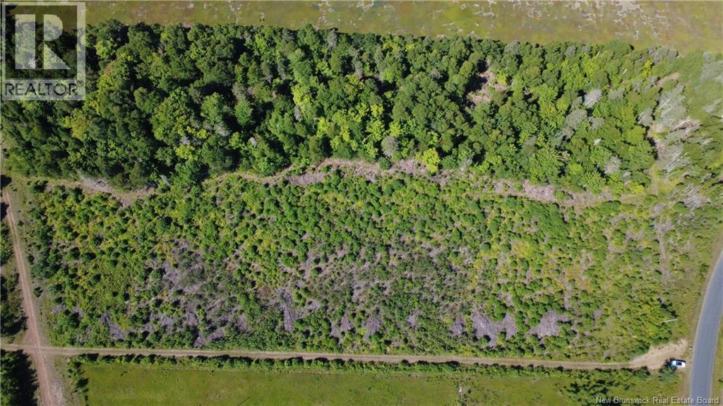 3.2 Acres Chemin Grand Carey Property Photo 9
