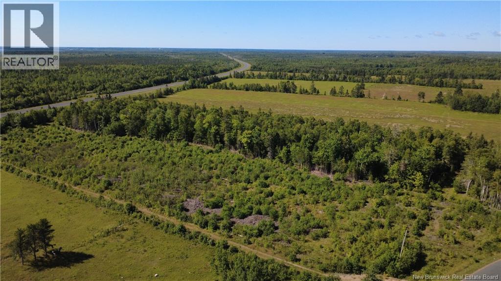 3.2 Acres Chemin Grand Carey Property Photo 10