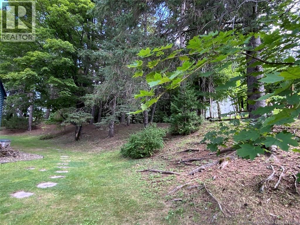 28 Lawson Street Property Photo 39