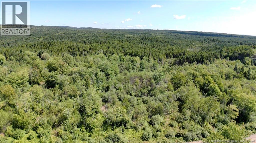 Old Gardner Creek Road Property Photo 1