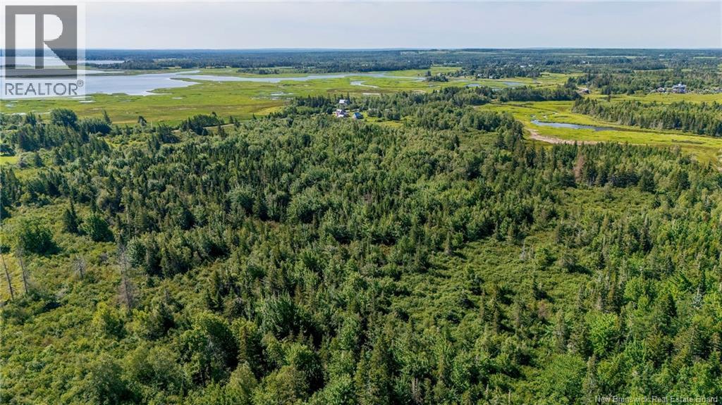 Lot Route 970 Property Photo 15