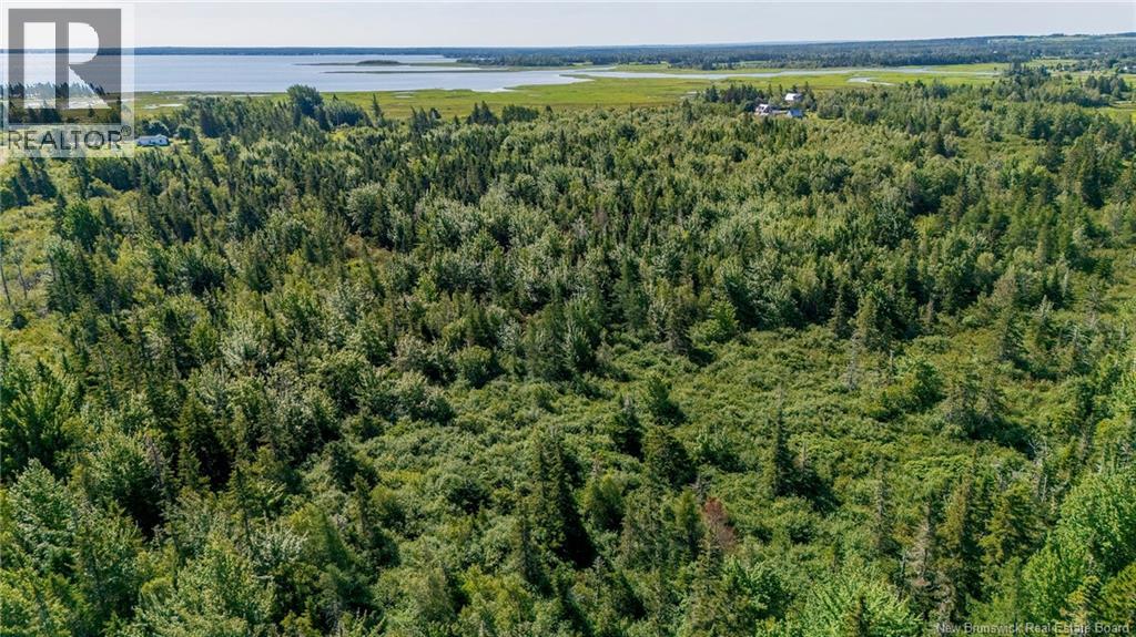Lot Route 970 Property Photo 20