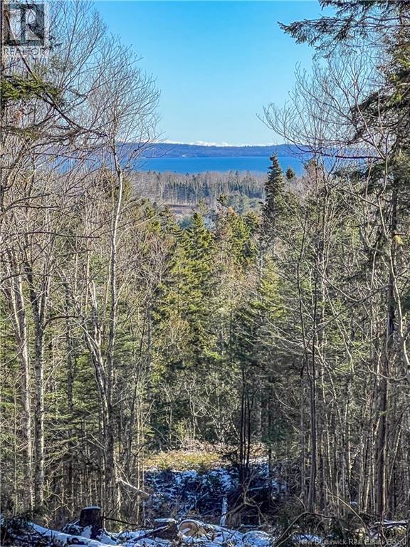 Land Chamcook Lake No 1 Property Photo 2