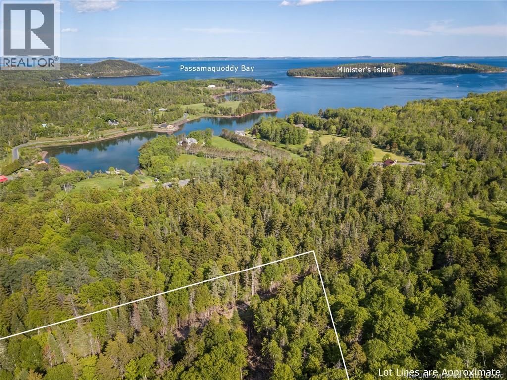 Land Chamcook Lake No 1 Property Photo 5