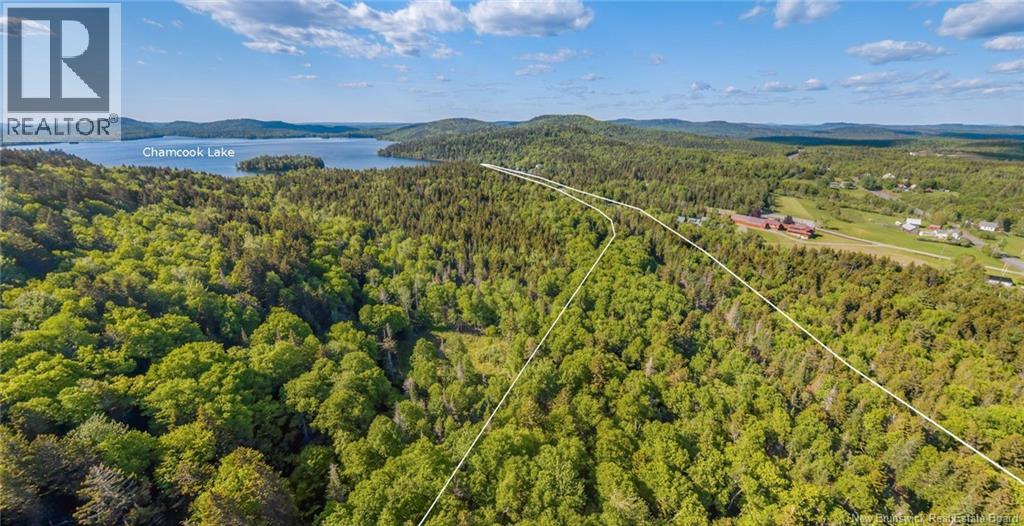 Land Chamcook Lake No 1 Property Photo 6