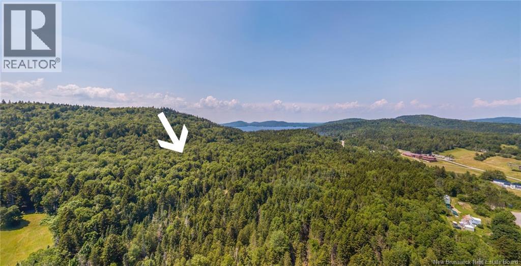 Land Chamcook Lake No 1 Property Photo 8