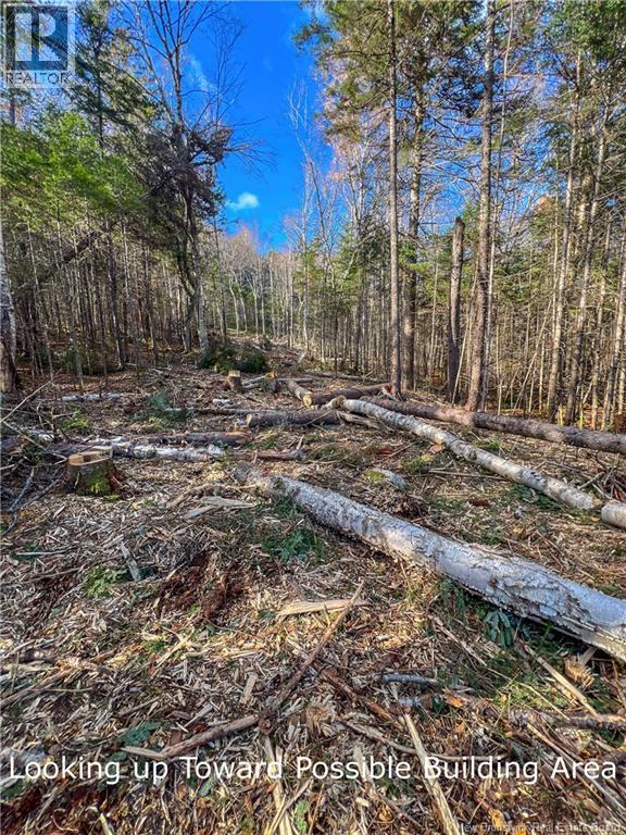 Land Chamcook Lake No 1 Property Photo 11