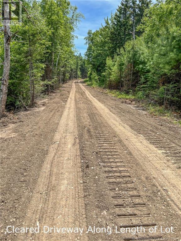 Land Chamcook Lake No 1 Property Photo 12