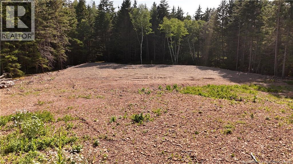 Lot 0 Shore Road Property Photo 8