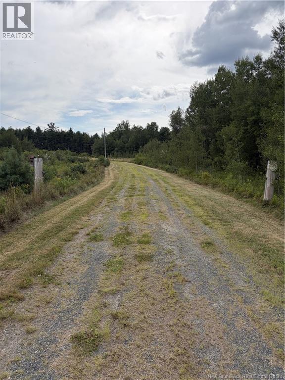 10035 Route 11 Property Photo 4
