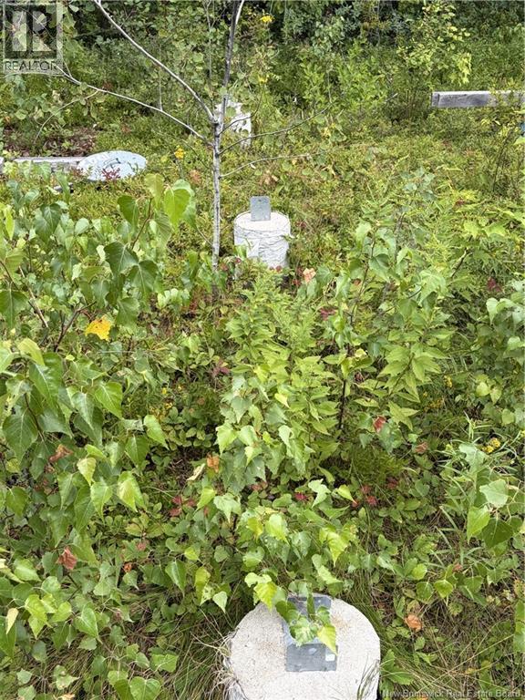 10035 Route 11 Property Photo 8