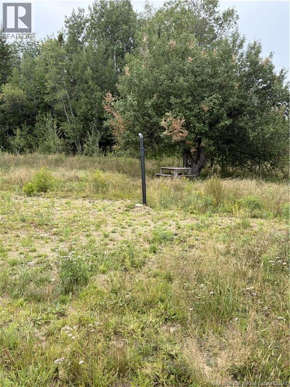 10035 Route 11 Property Photo 10