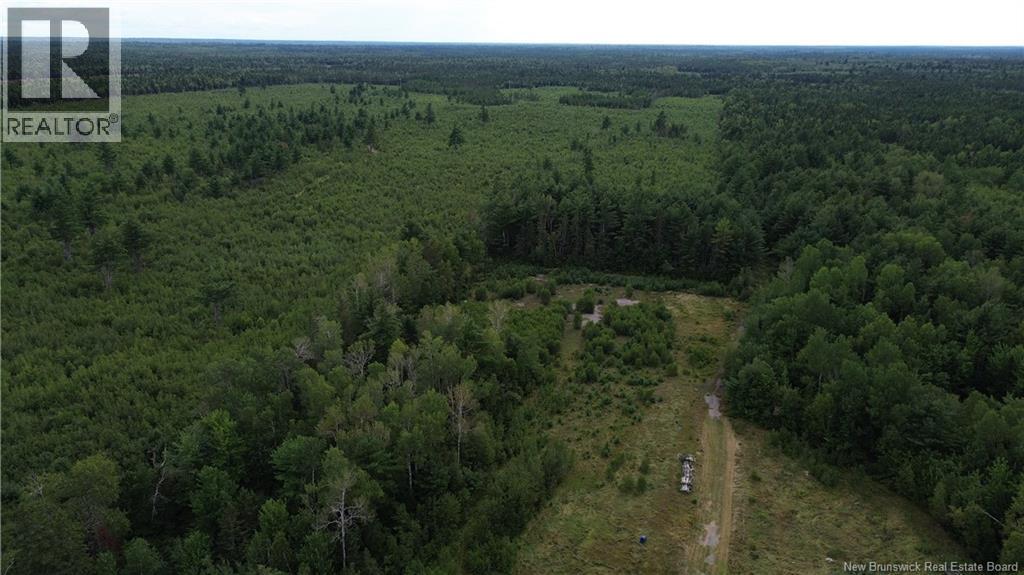 10035 Route 11 Property Photo 13