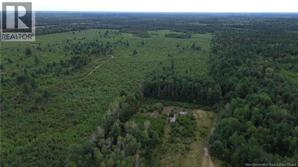 10035 Route 11 Property Photo 14