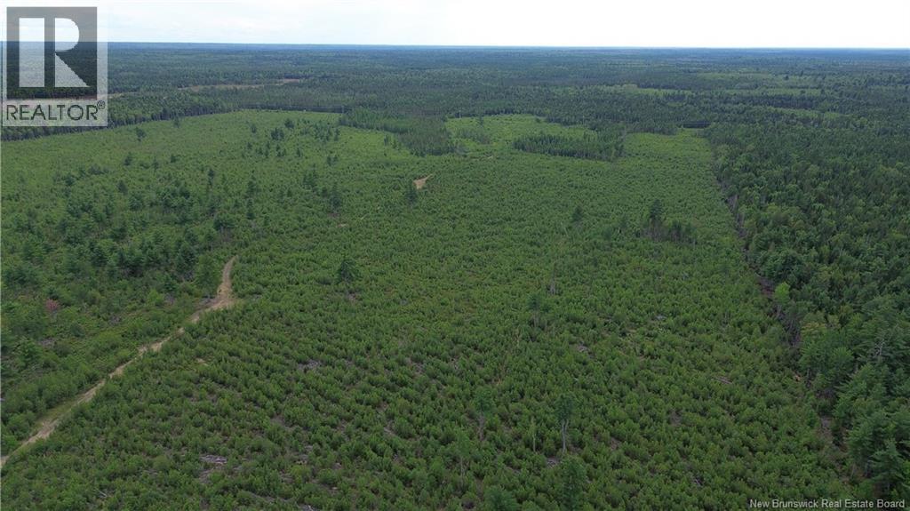 10035 Route 11 Property Photo 18