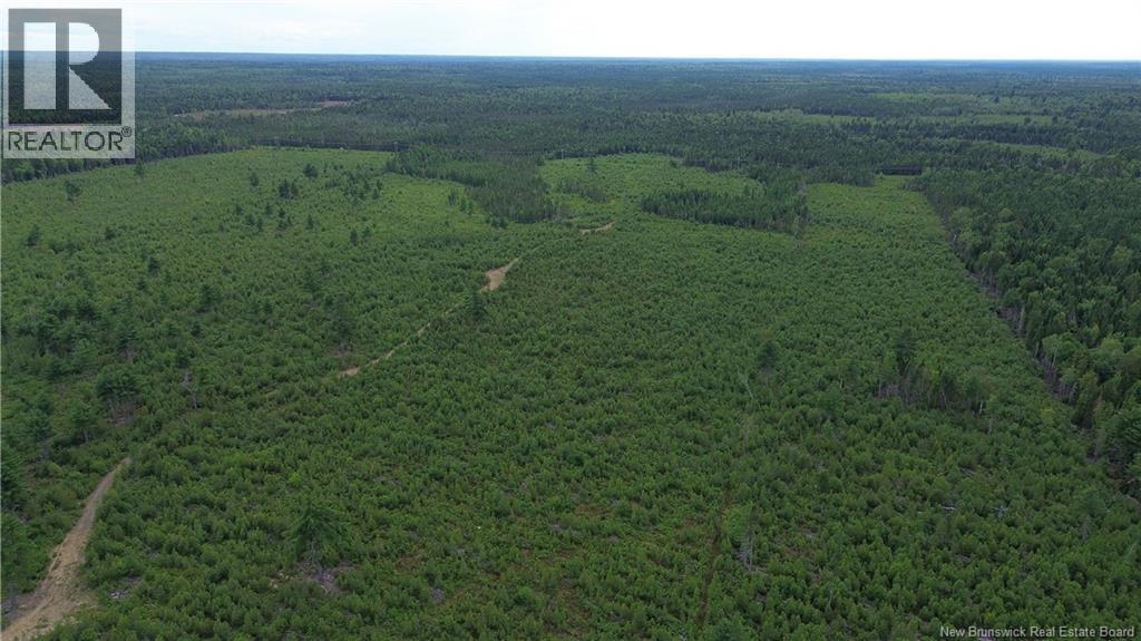 10035 Route 11 Property Photo 24