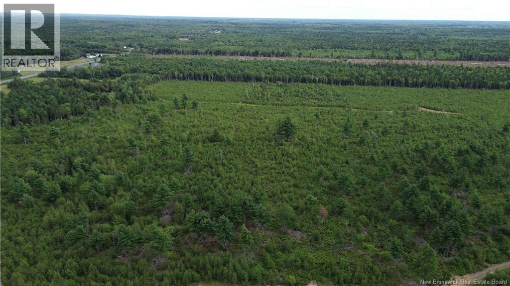 10035 Route 11 Property Photo 25